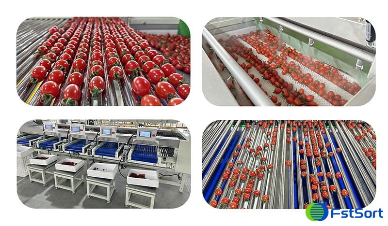 images/1711696049253fruit grading machine.jpg